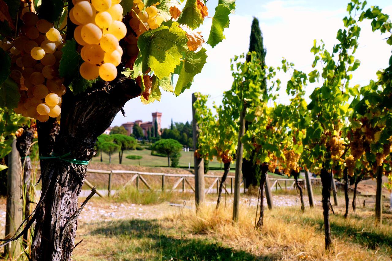 Casale In Collina ξενώνας Capriva del Friuli Εξωτερικό φωτογραφία